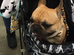 -香港会议展览中心演讲厅