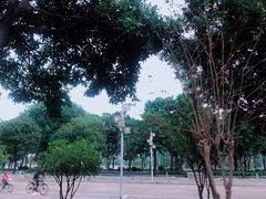 -顺峰山公园