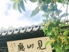 -上海醉白池公园