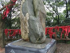 -广州市帽峰山景区