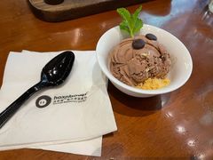 单丸子冰淇淋-haxnbauer海森堡德国餐厅(深圳coco店)