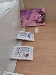 -西安伊美尔医疗美容医院