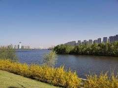 -长白岛森林公园