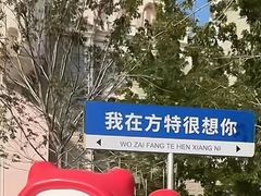 -郑州方特欢乐世界