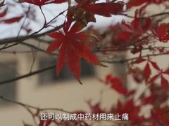 -Mr video视频拍摄工作室·摄影摄像·视频剪辑·绿幕影棚