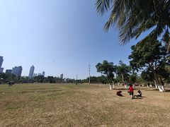 -万绿园