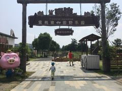-田园东方蜜桃村的田野营地