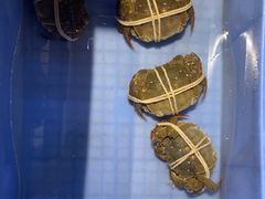 -钱塘人家(通泰路店)