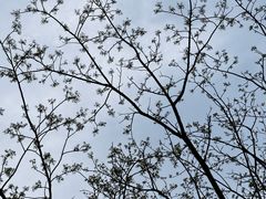 -白塘生态植物园