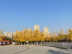 -永定河休闲森林公园