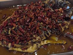 -鱼酷活鱼烤鱼(沈阳大悦城店)