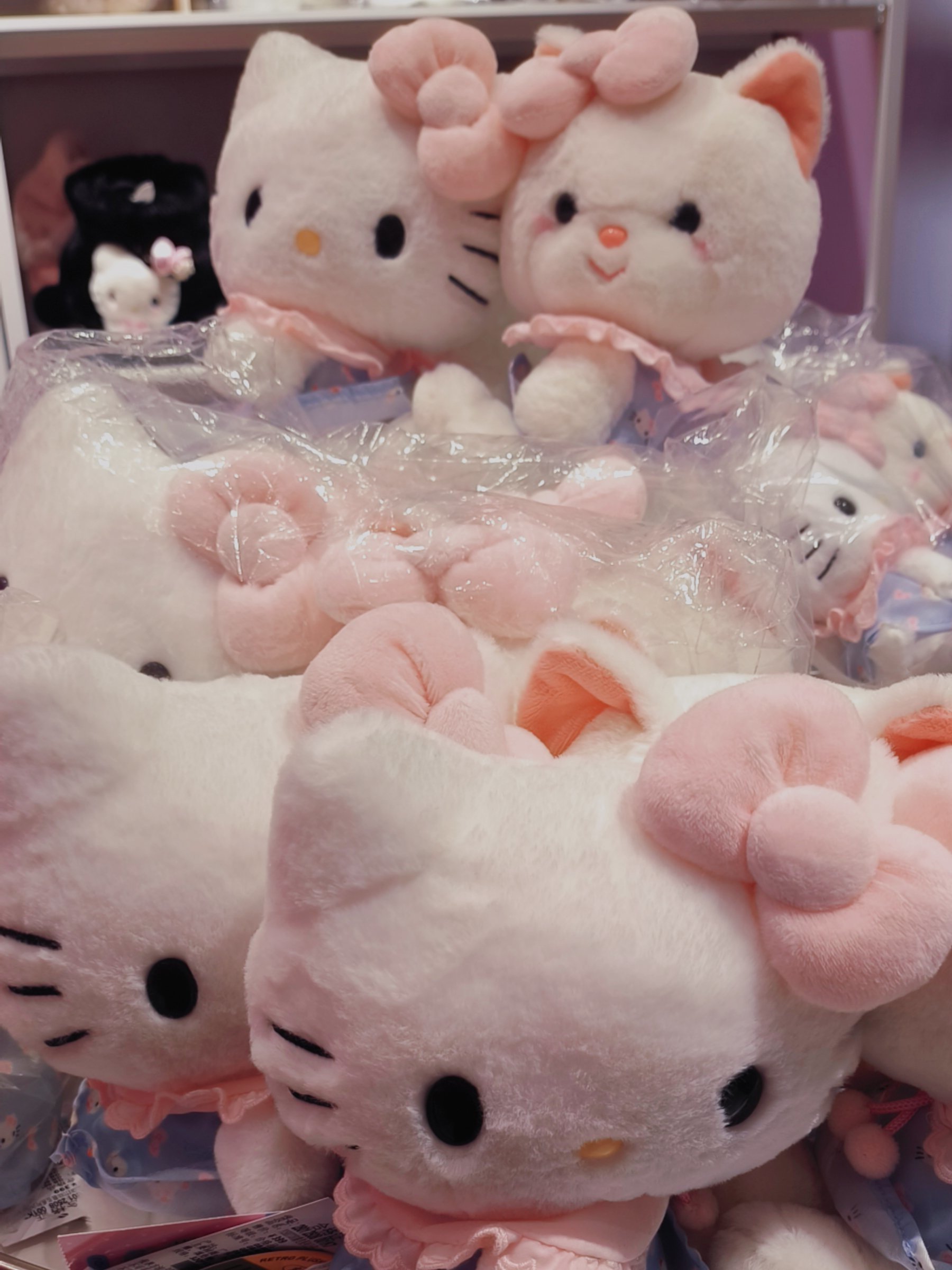 btktiiy,北体课堂考试入口 btktiiy,北体课堂考试入口