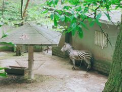 -杭州动物园