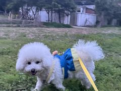 -蜀冈西峰生态公园