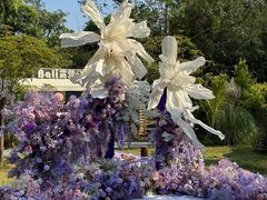 -芭厘农庄老字号·清远鸡