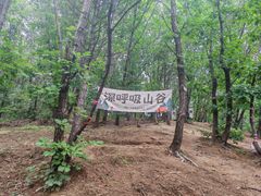 -六里坪国家森林公园
