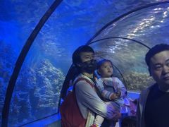 -嘉兴海底世界