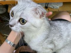 -星鸿社重庆老火锅