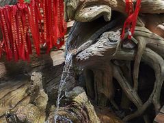 -凤凰山国家森林公园