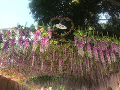 -虎英水上乐园