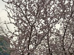 -北运河水利风景区