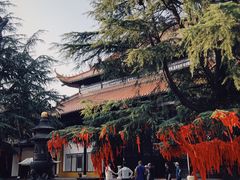 -迎江寺