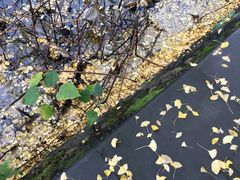 -四川大学(华西校区)