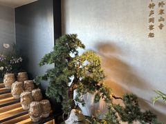 -蘇锦宴·淮扬菜烤鸭·小院(三元桥霄云路店)