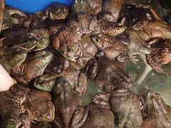 -秦记香辣蟹(松榆里店)