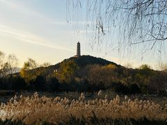 -北坞公园