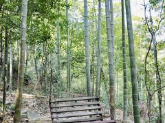 -山沟沟景区