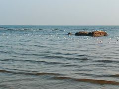 -老虎石海上公园