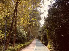 -皇粮浜湿地公园