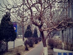 沈阳市摄影艺术家协会-东北大学(南湖校区)