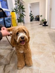 -WAVE SODA摄影工作室