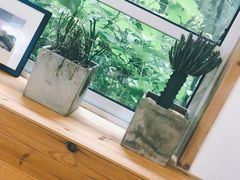 -COTTON CAFE(德信·中外公寓店)