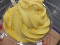 -志龙皇冠吃货椰子铺