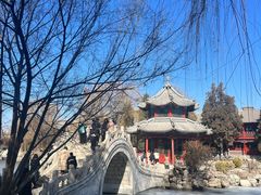 -莲池书院博物馆