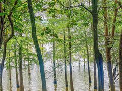 -松山湖风景区松湖烟雨