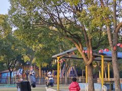 -上海海湾国家森林公园