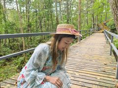 -五营红松林海景区