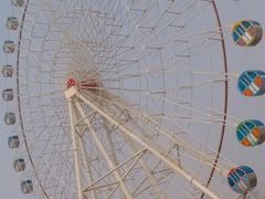 android_upload_pic-西安世博园