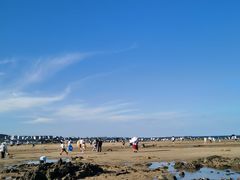 -日照海滨国家森林公园