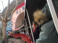 -富华游乐园