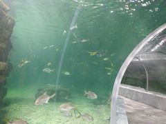 -绍兴梦享海洋公园