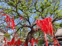 -杨家埠民间艺术大观园