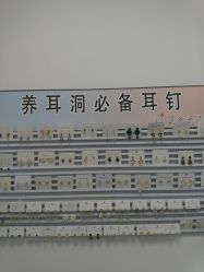 -AI艾耳·专业手工耳洞·穿孔美学馆
