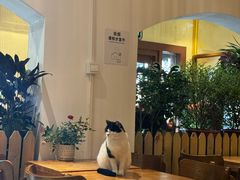 -萤火虫咖啡(后海店)
