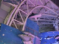 -烟台海昌鲸鲨海洋公园