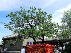 -香山公园